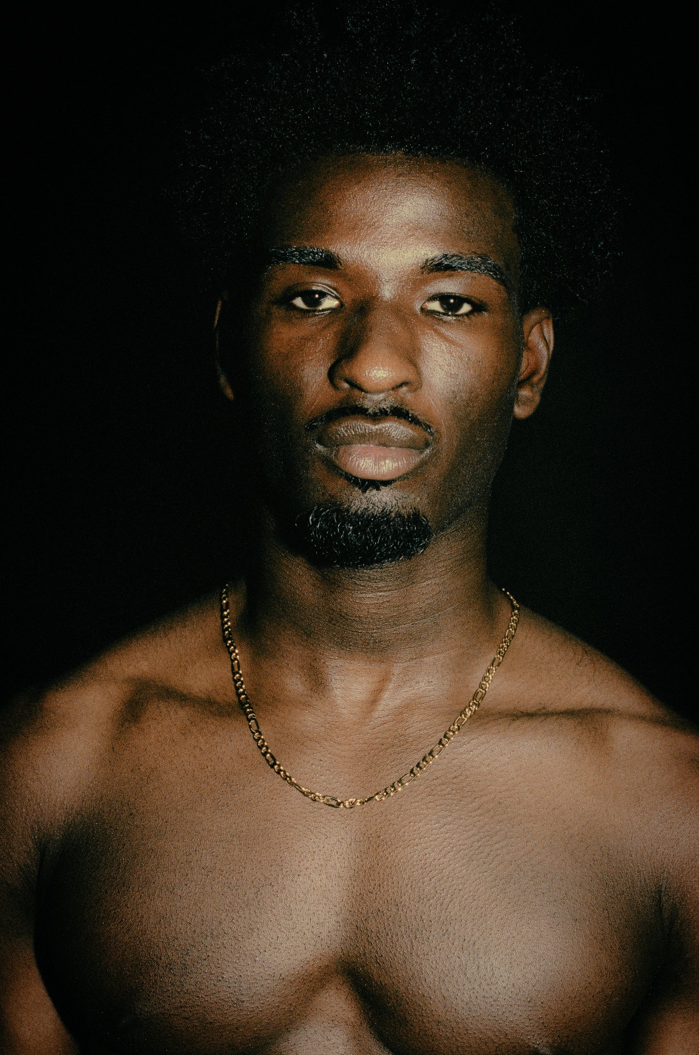 Gold Lorenzo Chain - Fashion Jewelry by Yordy.