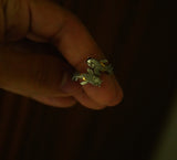 Celestial Swim Ring