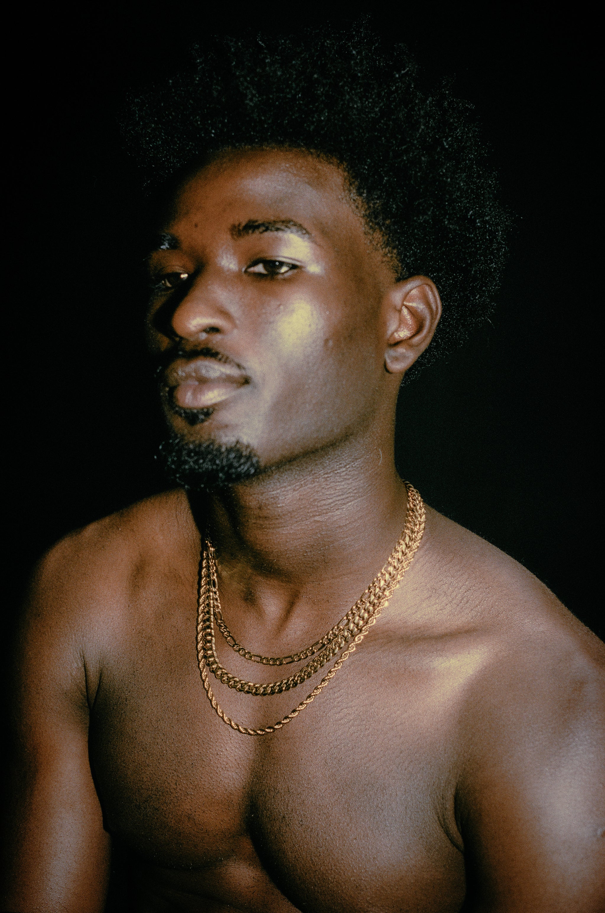 Gold Lorenzo Chain - Fashion Jewelry by Yordy.