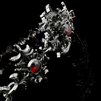 Sanguine Lux Necklace