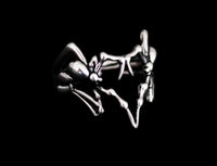 Spider Infatuation Ring - Fashion Jewelry by Yordy.