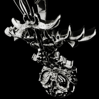 Silencium Necklace