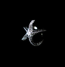 Load image into Gallery viewer, Silver Starfish Ring - Fashion Jewelry by Yordy.