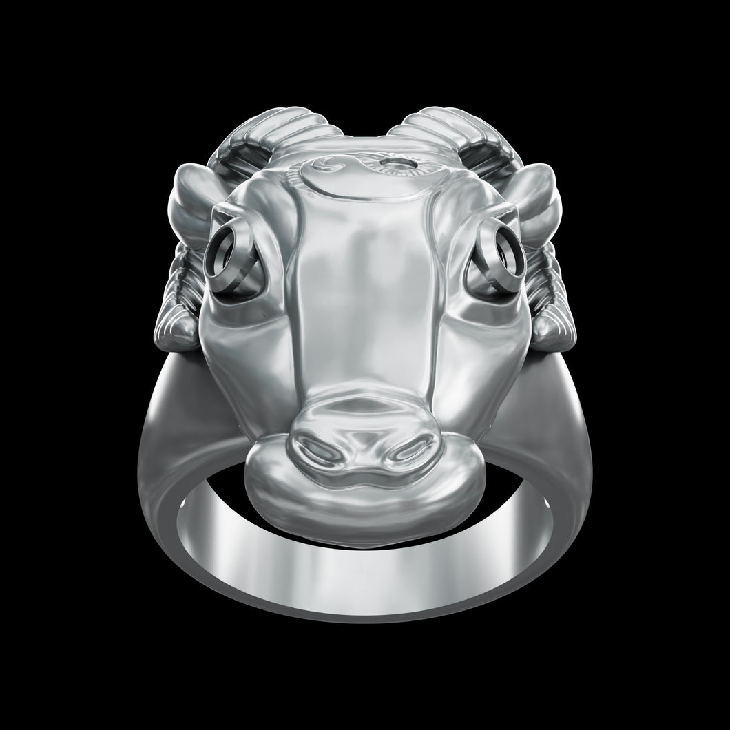 Aries Ring - Fashion Jewelry by Yordy.