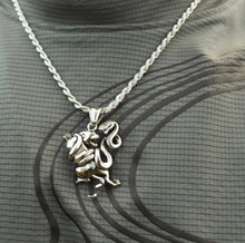 Load image into Gallery viewer, Silver Wild Battle Necklace - Fashion Jewelry by Yordy.